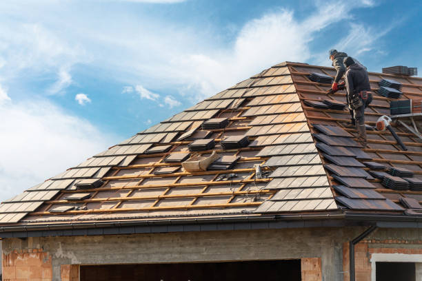 Best Skylight Installation and Repair  in Murraysville, NC